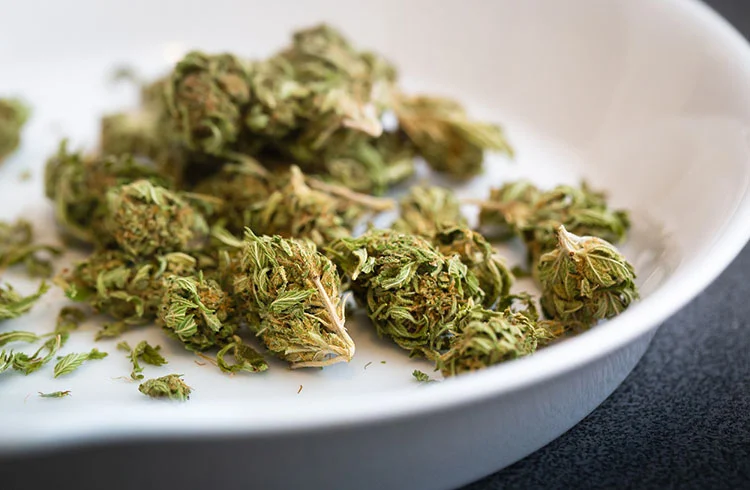Centre de désintoxication du cannabis pour jeunes adultes